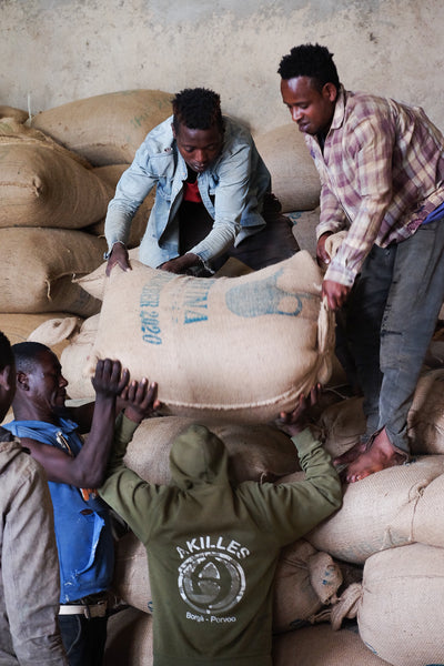 Dumerso Sisters, Ethiopia  -  organic