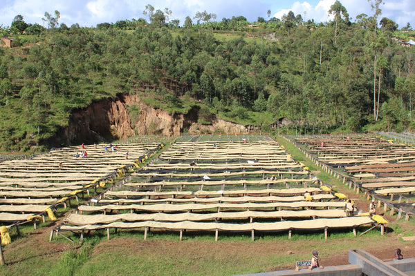 Kibingo, Burundi