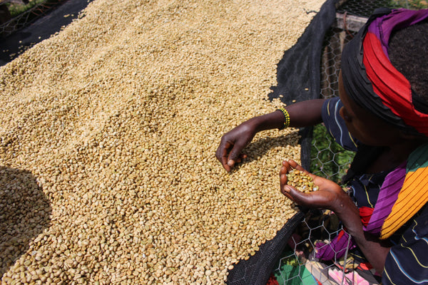 Kibingo, Burundi