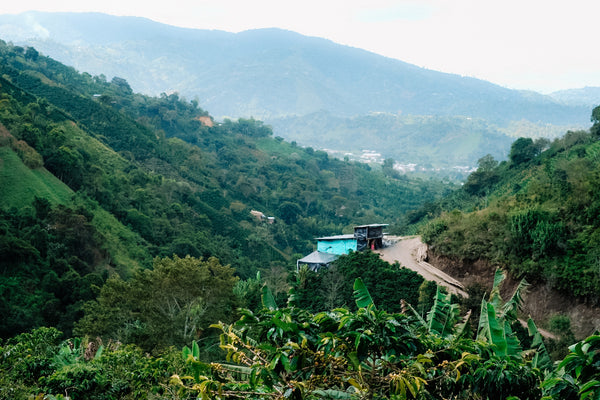 Martha Reina AA, Colombia